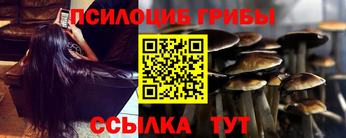 Псилоцибиновые грибы Psilocybe  Вход с VPN  Видное 